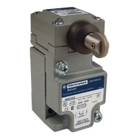 LIMIT SWITCH 600V 10AMP C +OPTIONS