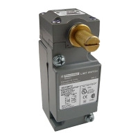 LIMIT SWITCH 600V 10AMP C +OPTIONS