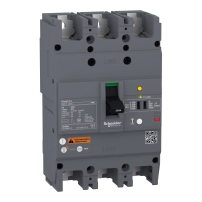 Автоматичен прекъсвач Easypact EZCV250N - TMD - 250 A - 3 полюса