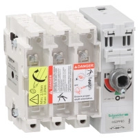 Товаров разединител fuse, TeSys GS, 3P, 315A, fuse type BS, size  B1, B2, B3