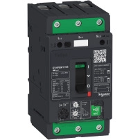 TeSys GV4 - термомагнитна  моторна Защита - 115A 3P - Everlink
