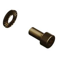 SCHNEIDER ELECTRIC Screws PrismaSeT Linergy 8.8 CLASS M6X12/ LINERGY BW BB (20pcs.)