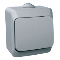 Кръстат ключ сив Cedar Plus IP44