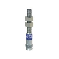 Telemecanique Inductive proximity sensor