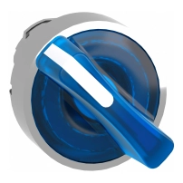 Head ill SS metal blue 2pos spr ret