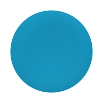 SCHNEIDER ELECTRIC Blue cap unmarked