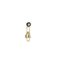 Telemecanique Limit switch lever